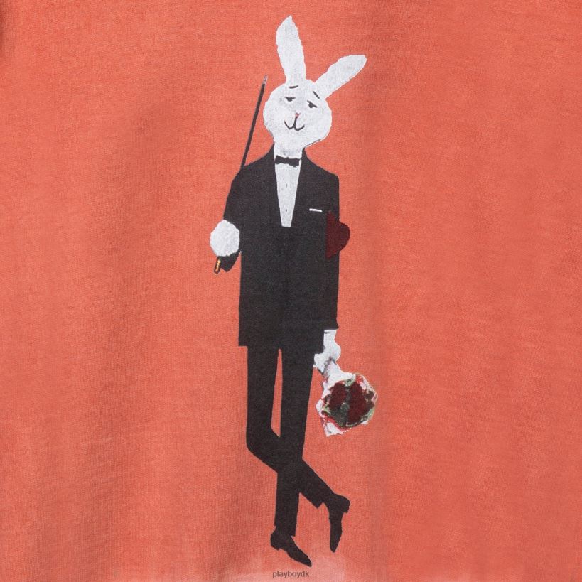 Hr. crewneck D06FFT470 tøj Playboy