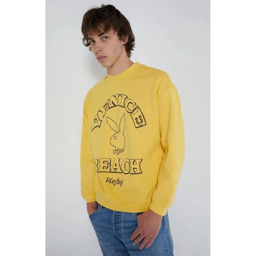 pb venice beach crewneck gul D06FFT368 tøj Playboy