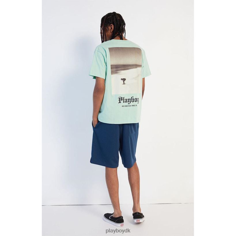 kystlinje mint skjorte D06FFT255 tøj Playboy