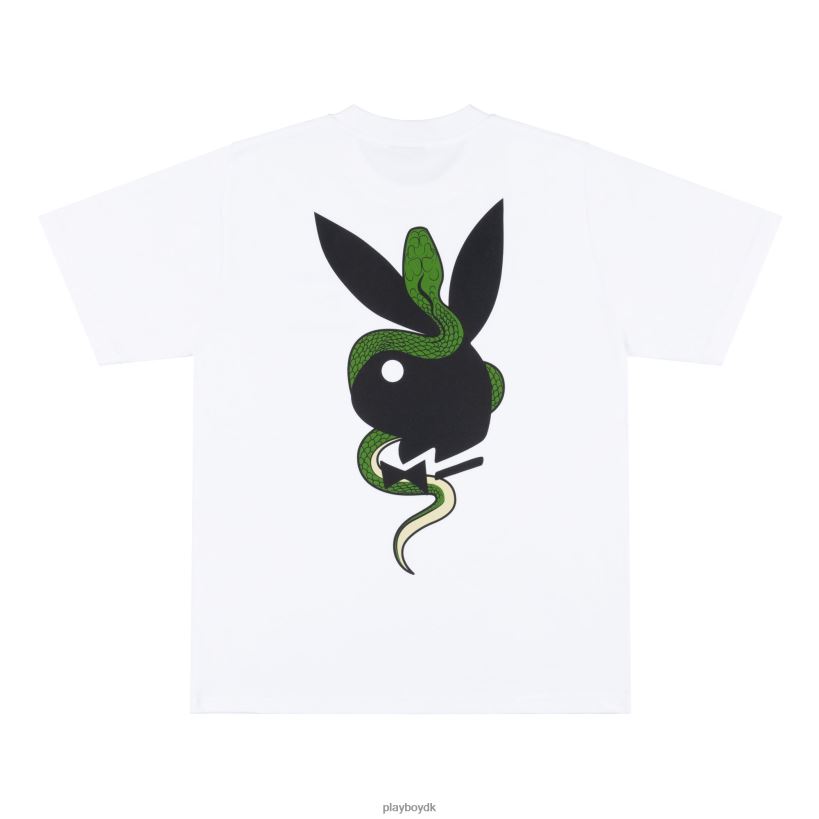 t-shirt D06FFT195 tøj Playboy x The Great Frog
